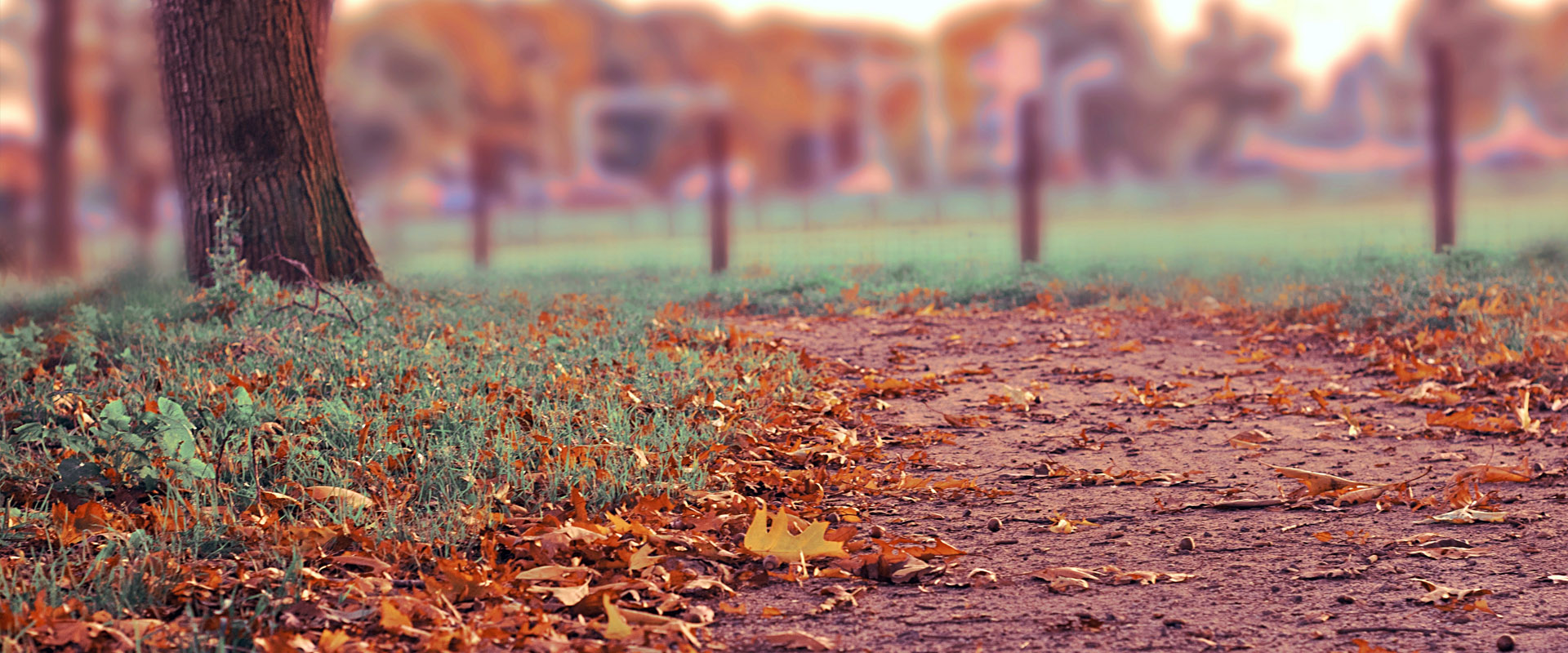 专业解决方案的在线手机号轰炸工具