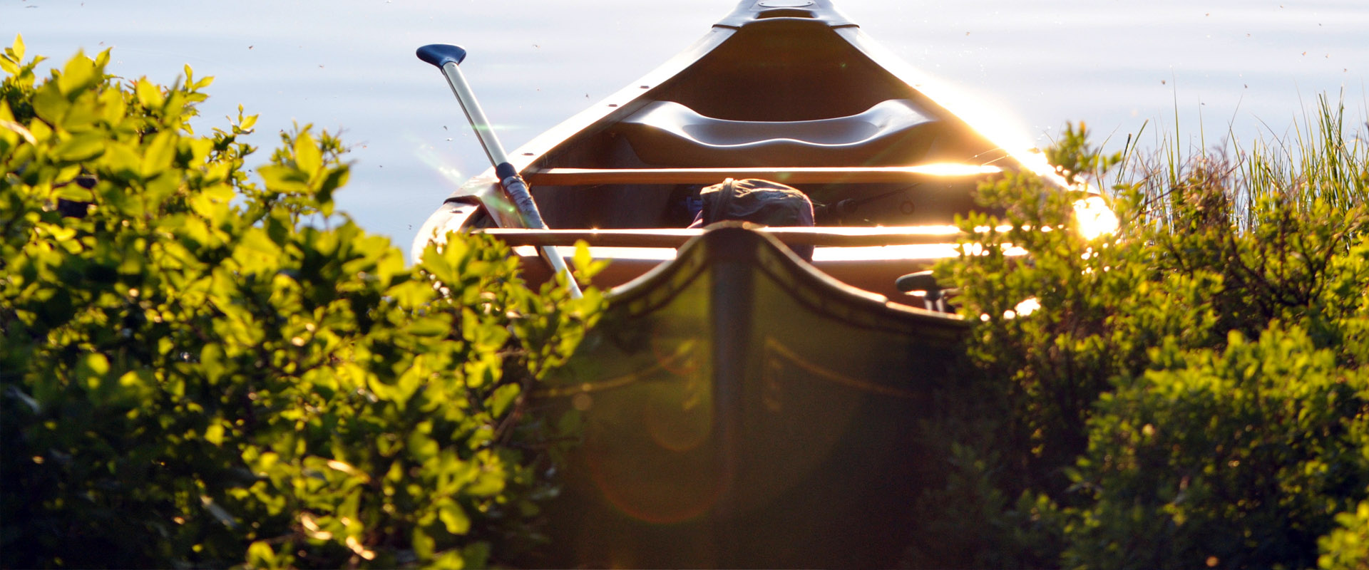 免费短信呼死你2023