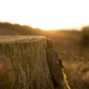 账号代购便宜的手机号压测试