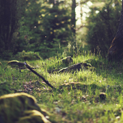 打爆电话的软件