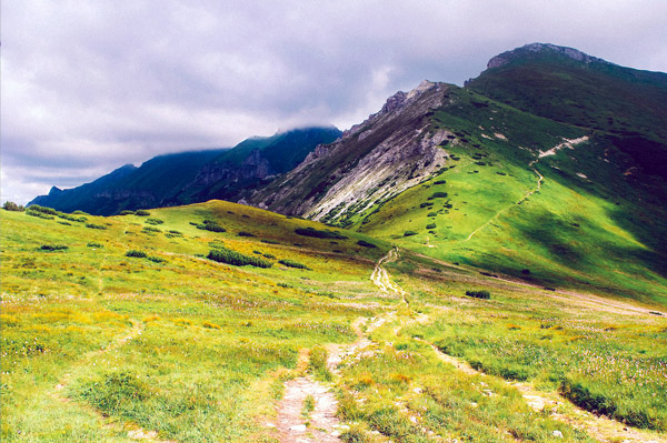 发卡网正规的手机号压测试
