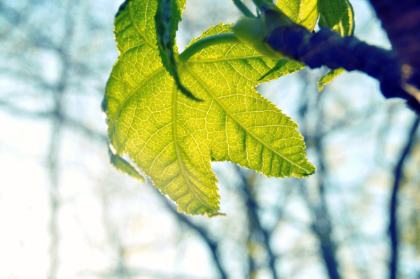 手机号压力测试器